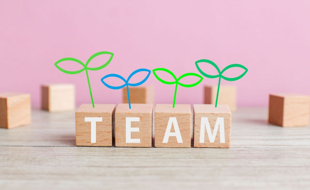 TEAM